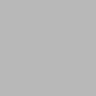 Primer & Undercoat in Grey